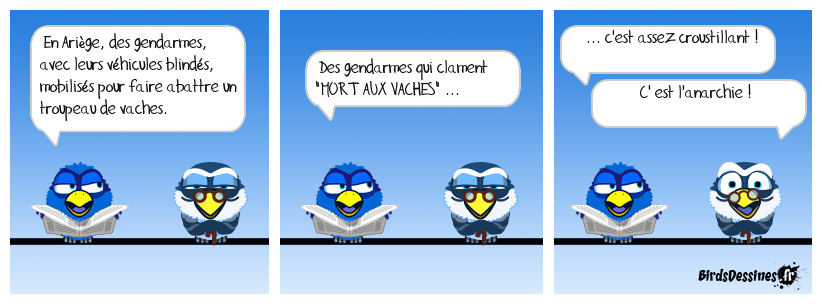 Mais que fait la police ?