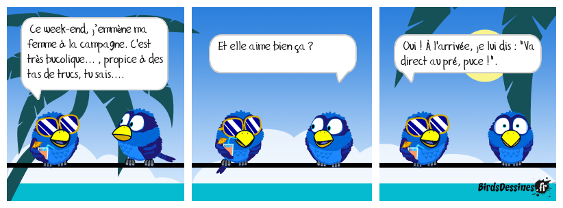 Des blagues comme ça, ça se finit mal, des fois.....