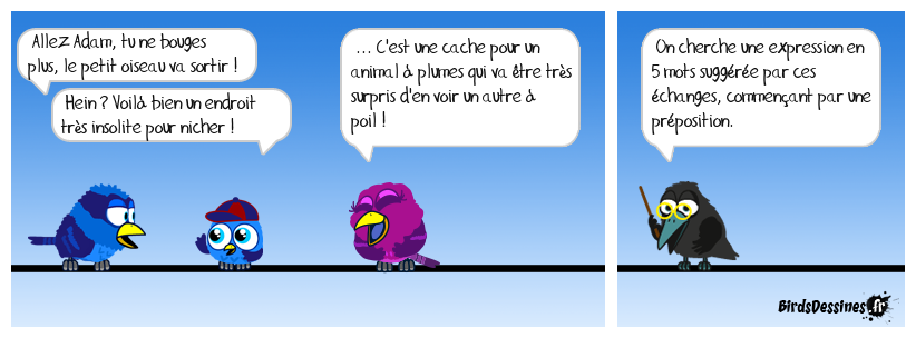 Verbidouillage n° 746 (expression française n° 447)