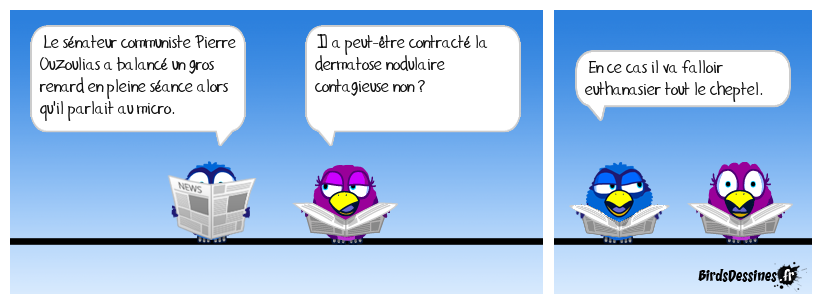 Il n'y a pas de raison.....