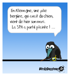 Un chien de ma chienne ...