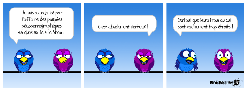 Nuit de shein ! Nuit Câline !!!