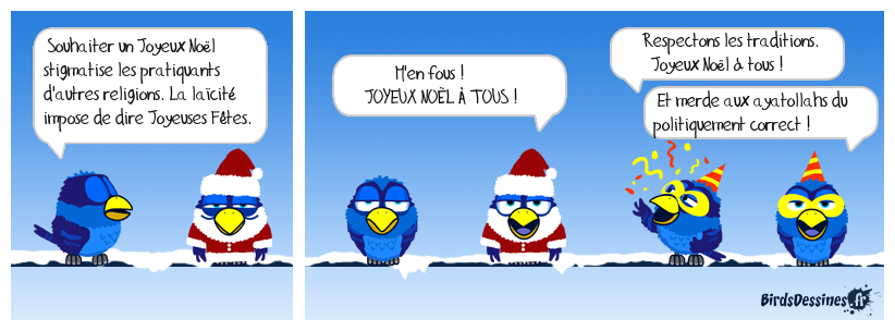 Joyeux Noël à toute la volière !