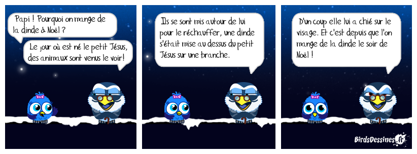 ☺ L'origine de la tradition de la dinde de Noël ☺☺