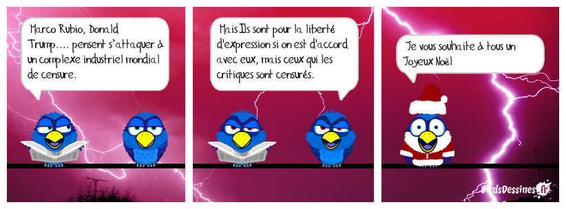 La liberté d'expression US