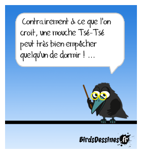 Bzzzzz, Bzzzzz, Bzzzzz...