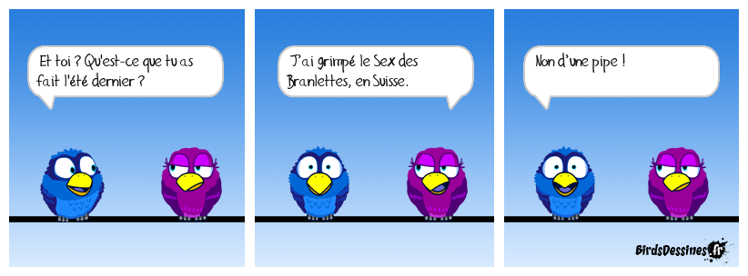 Mieux que les rideaux