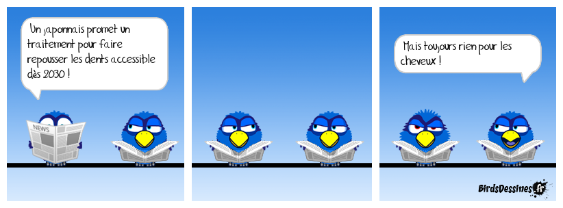 Le sens des priorités.