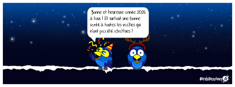 ☺ Meilleurs vœux ☺☺