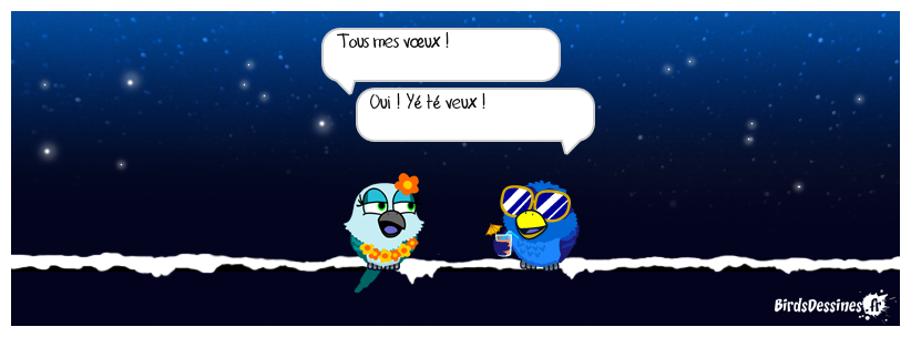 Feliz año nuevo (bonne année)