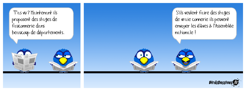 Il y a des beaux exemples là bas !