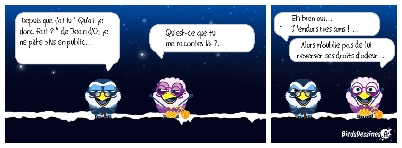 guide des égarés ...