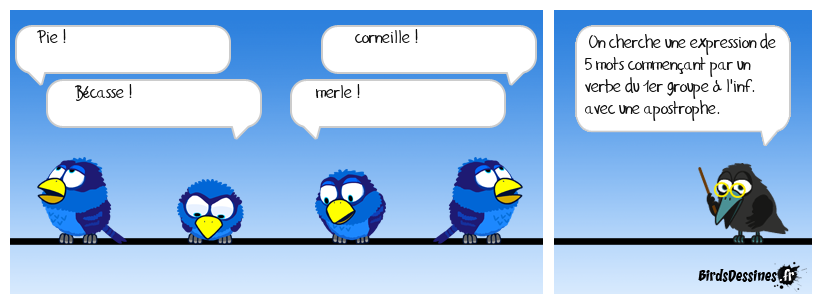 ornthoci, ornithoca ! (70)