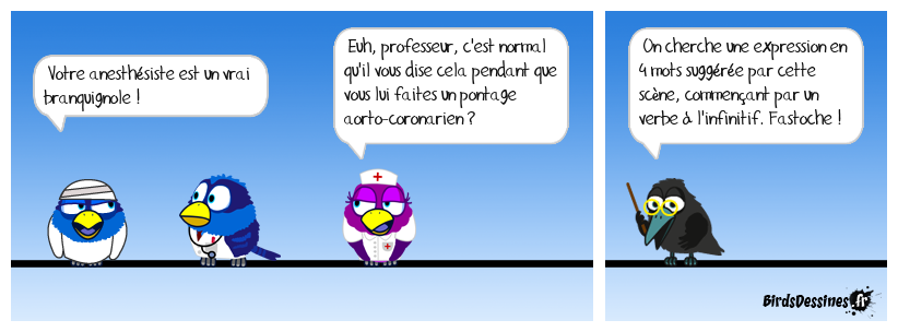 Verbidouillage n° 755 (expression française n° 453)