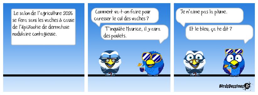 Il y en aura pour tous les goûts !