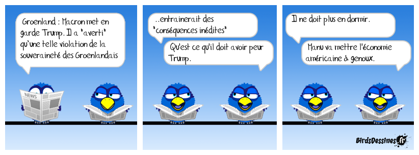 Les roquets ça mord !