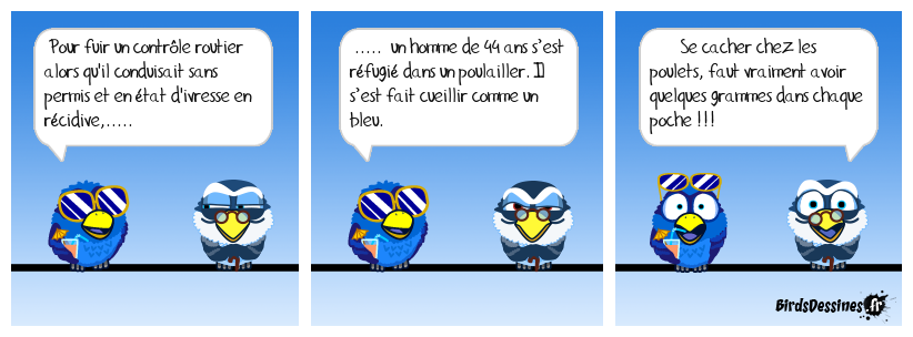 Dans la gueule du loup !