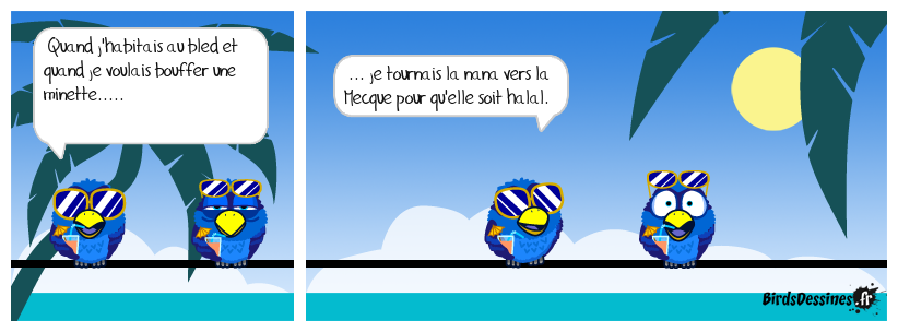 Il faut respecter le pays qui nous accueille.