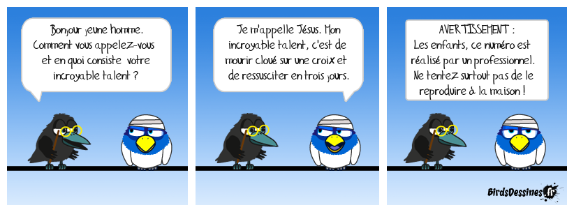 Les Birds ont un incroyable talent 4