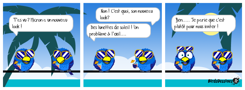 De la notoriété des Birds.