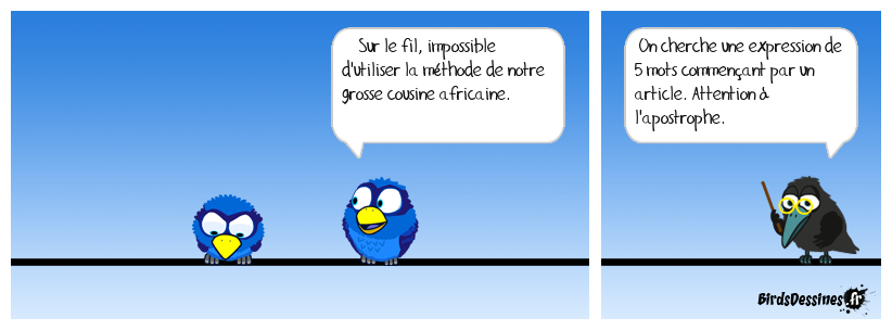 un neuf très gros ! (80)