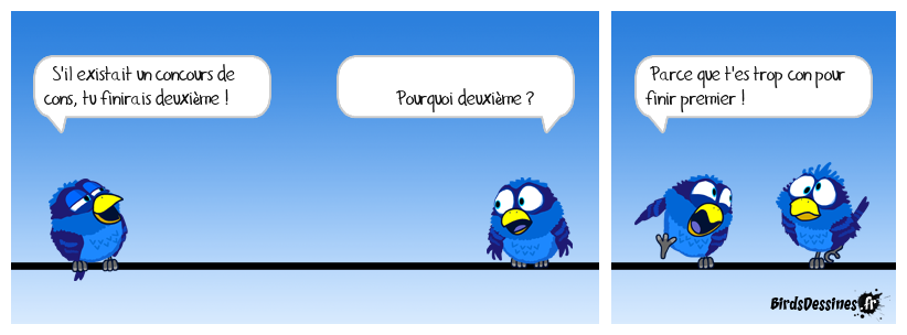 C'est pas possible ce que t'es con !