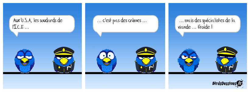 Toi, je vais te servir un 