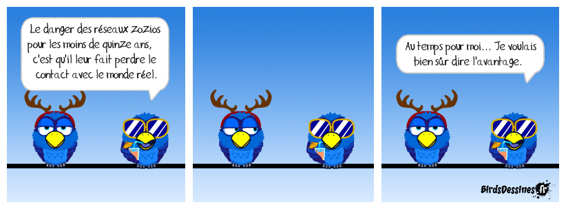 Les réseaux zozios