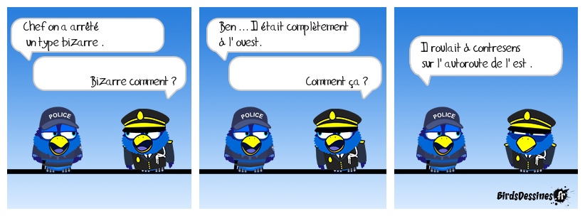 bon sens mais c'est bien sûr !