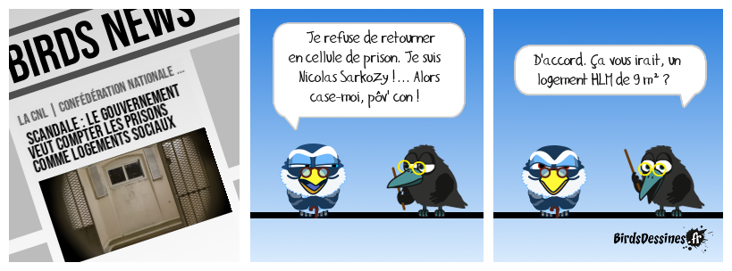 Ils n'en ratent pas une !