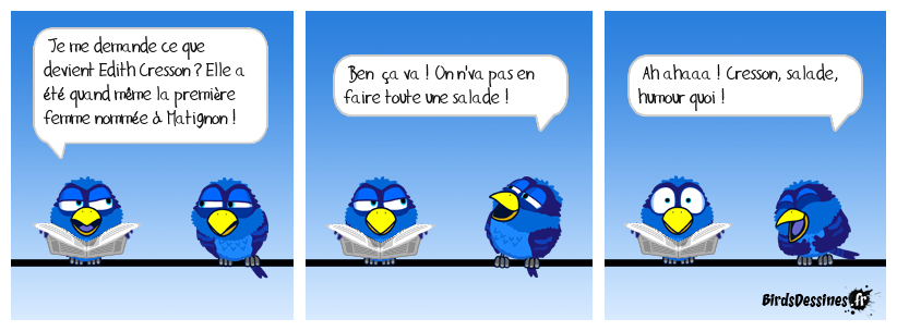 ☺ Humour de Bird ☺☺