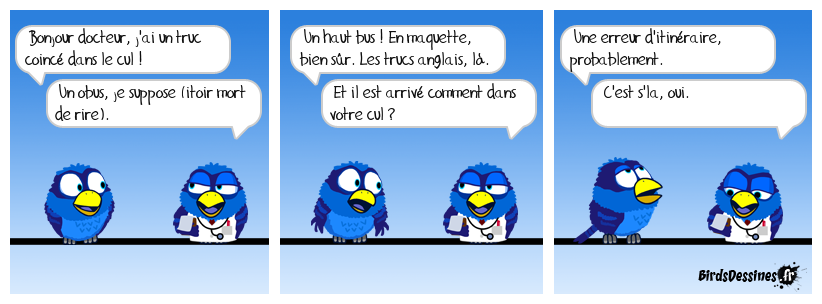 Évitez de tout ranger dans votre rectum.