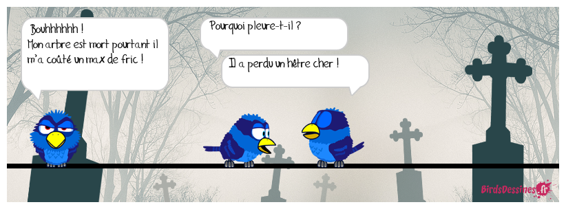 Prends en de la graine !