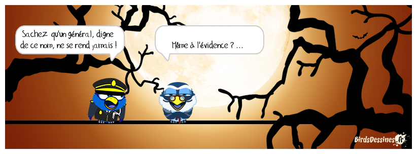 le garde meuble mais ne se rend pas ...