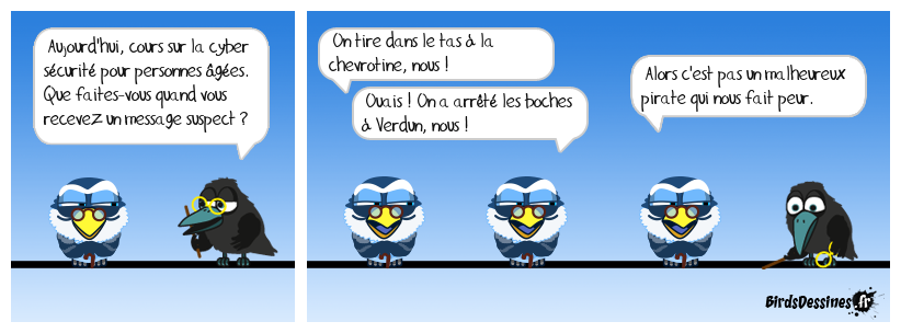 La cyber sécurité vue par les vieux