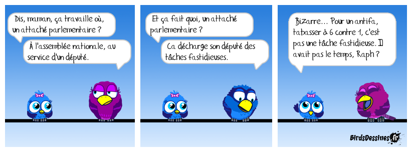 C'est pas une vie, d'être attaché parlemen,tai