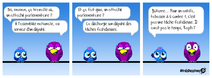 C'est pas une vie, d'être attaché parlementaire