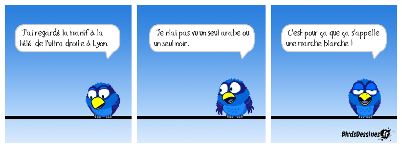 Lyon, capitale de l'ultra droite