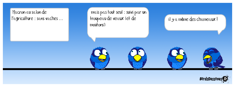 Notre président au salon de  l'agriculture