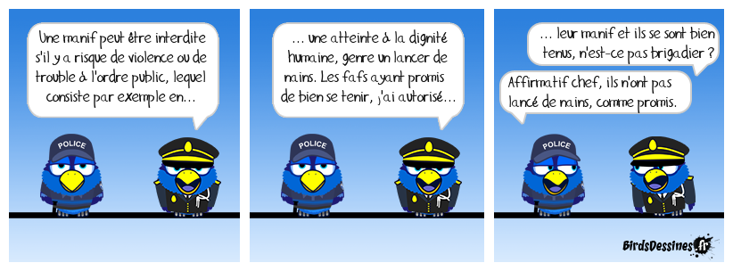 Manif nique-heil-chrome