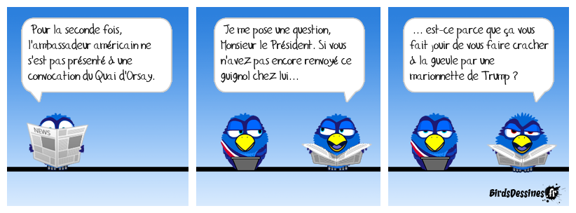 That is the question !