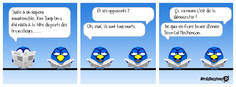 Pas besoin de deuxième tour là bas......