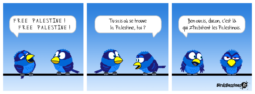 Géographie pour les nuls