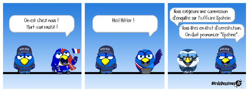 Pendant ce temps, en France...