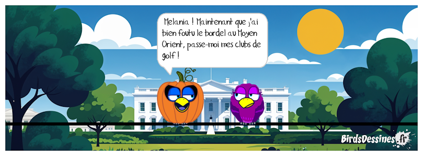 Donald, prix Nobel de la Paix par contumace 💩