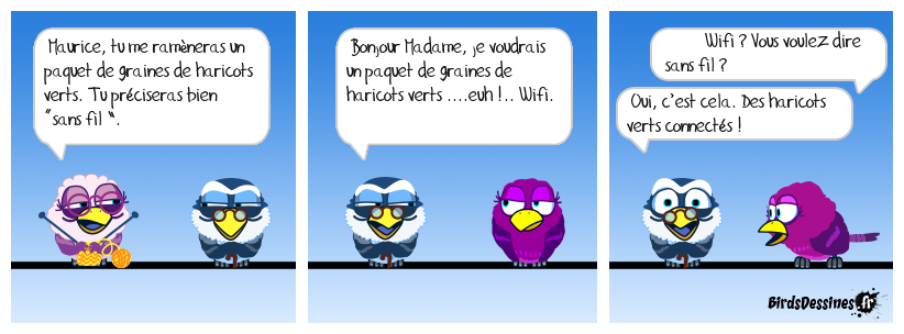 Haricots branchés, méthode Maurice !