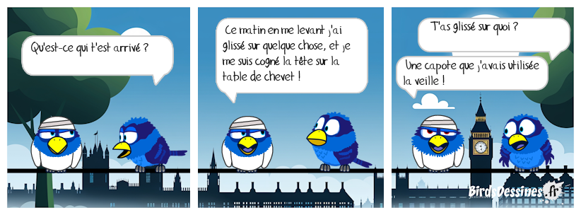 ☺ La glissade matinale ☺☺