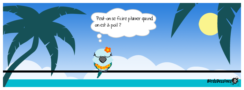 Bonne question, spéciale bird !