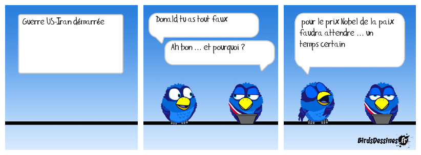 Donald a perdu une médaille