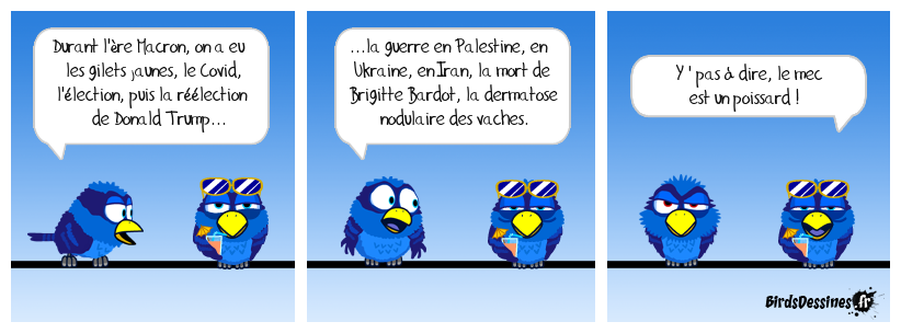 La perfection au masculin